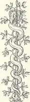 An illustration from Printing and the renaissance : a paper read before the Fortnightly Club of Rochester, New York / by John Rothwell Slater (1921)