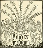 Picture 13 of 89 from Printing types, their history, forms, and use; a study in survivals (1922), leaf 234