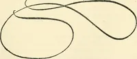 An illustration from Printing types, their history, forms, and use; a study in survivals (1922)