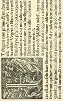 An illustration from Printing types, their history, forms, and use; a study in survivals (1922)