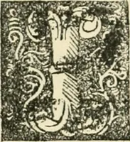 Picture 35 of 89 from Printing types, their history, forms, and use; a study in survivals (1922), leaf 371