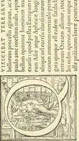 An illustration from Printing types, their history, forms, and use; a study in survivals (1922)