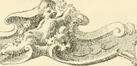 Picture 49 of 89 from Printing types, their history, forms, and use; a study in survivals (1922), leaf 434