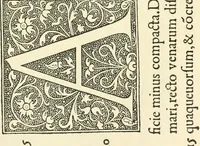 Picture 62 of 89 from Printing types, their history, forms, and use; a study in survivals (1922), leaf 486