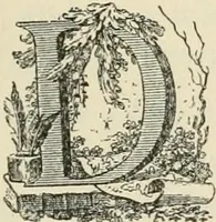 An illustration from Printing types, their history, forms, and use; a study in survivals (1922)