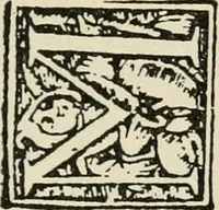 An illustration from Printing types, their history, forms, and use; a study in survivals (1922)