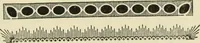 An illustration from Printing types, their history, forms, and use; a study in survivals (1922)