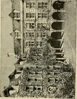 An illustration from Printing and writing materials: their evolution (1901)
