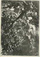 An illustration from Prints; a brief review of their technique and history (1914)