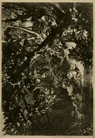 An illustration from Prints; a brief review of their technique and history (1914)