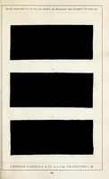 Picture 8 of 11 from Print styles on shoddy material (1900), leaf 31