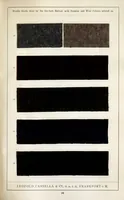 Picture 9 of 11 from Print styles on shoddy material (1900), leaf 33