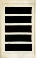 Picture 10 of 11 from Print styles on shoddy material (1900), leaf 35