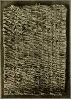 An illustration from The Priscilla basketry book a collection of baskets and other articles with lessons for working and directions for dyeing and staining (1911)