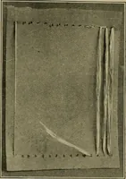 An illustration from The Priscilla basketry book a collection of baskets and other articles with lessons for working and directions for dyeing and staining (1911)