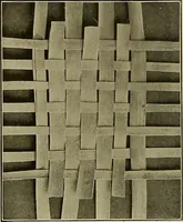 An illustration from The Priscilla basketry book a collection of baskets and other articles with lessons for working and directions for dyeing and staining (1911)