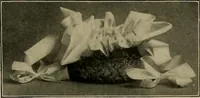 An illustration from The Priscilla basketry book a collection of baskets and other articles with lessons for working and directions for dyeing and staining (1911)