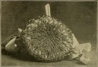 An illustration from The Priscilla basketry book a collection of baskets and other articles with lessons for working and directions for dyeing and staining (1911)