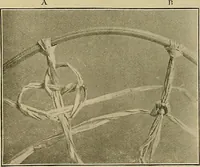 An illustration from The Priscilla basketry book a collection of baskets and other articles with lessons for working and directions for dyeing and staining (1911)