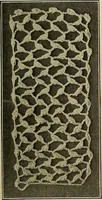 An illustration from The Priscilla crochet book, edgings and insertions; a collection of beautiful and useful patterns, with directions for working (1913)