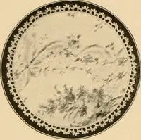 An illustration from The Priscilla crochet book, centerpieces and doilies; (1915)