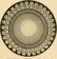 An illustration from The Priscilla crochet book, centerpieces and doilies; (1915)