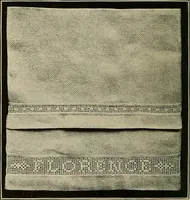An illustration from The Priscilla filet crochet book; a collection of beautiful designs in filet crochet, equally adapted to cross-stitch, beads and canvas, with working directions (1911)
