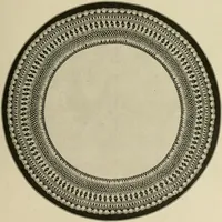 Picture 46 of 97 from The Priscilla netting book, containing full directions for making square and circular netting, and for the various stitches with which netting is ornamented, also a great number of finished pieces in the different varieties of netting and filet brodé (1914), leaf 22
