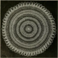 An illustration from The Priscilla netting book, containing full directions for making square and circular netting, and for the various stitches with which netting is ornamented, also a great number of finished pieces in the different varieties of netting and filet brodé (1914)