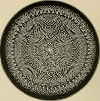 An illustration from The Priscilla netting book, containing full directions for making square and circular netting, and for the various stitches with which netting is ornamented, also a great number of finished pieces in the different varieties of netting and filet brodé (1914)