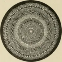 An illustration from The Priscilla netting book, containing full directions for making square and circular netting, and for the various stitches with which netting is ornamented, also a great number of finished pieces in the different varieties of netting and filet brodé (1914)