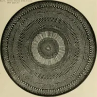 An illustration from The Priscilla netting book, containing full directions for making square and circular netting, and for the various stitches with which netting is ornamented, also a great number of finished pieces in the different varieties of netting and filet brodé (1914)