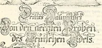 An illustration from Proben des hohen Teütschen Reichs Adels, oder, Sammlungen alter Denkmäler, Grabsteinen, Wappen, Inn- und Urschriften, u: d: nach ihrem wahren Urbilde aufgenommen unter offener Treüe bewähret und durch Anenbäume auch sonstige Nachrichten erkläret und erläuteret (1775)