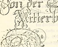 An illustration from Proben des hohen Teütschen Reichs Adels, oder, Sammlungen alter Denkmäler, Grabsteinen, Wappen, Inn- und Urschriften, u: d: nach ihrem wahren Urbilde aufgenommen unter offener Treüe bewähret und durch Anenbäume auch sonstige Nachrichten erkläret und erläuteret (1775)