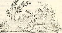An illustration from Proben des hohen Teütschen Reichs Adels, oder, Sammlungen alter Denkmäler, Grabsteinen, Wappen, Inn- und Urschriften, u: d: nach ihrem wahren Urbilde aufgenommen unter offener Treüe bewähret und durch Anenbäume auch sonstige Nachrichten erkläret und erläuteret (1775)