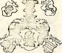 An illustration from Proben des hohen Teütschen Reichs Adels, oder, Sammlungen alter Denkmäler, Grabsteinen, Wappen, Inn- und Urschriften, u: d: nach ihrem wahren Urbilde aufgenommen unter offener Treüe bewähret und durch Anenbäume auch sonstige Nachrichten erkläret und erläuteret (1775)