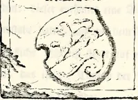 An illustration from Proben des hohen Teütschen Reichs Adels, oder, Sammlungen alter Denkmäler, Grabsteinen, Wappen, Inn- und Urschriften, u: d: nach ihrem wahren Urbilde aufgenommen unter offener Treüe bewähret und durch Anenbäume auch sonstige Nachrichten erkläret und erläuteret (1775)