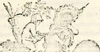 An illustration from Proben des hohen Teütschen Reichs Adels, oder, Sammlungen alter Denkmäler, Grabsteinen, Wappen, Inn- und Urschriften, u: d: nach ihrem wahren Urbilde aufgenommen unter offener Treüe bewähret und durch Anenbäume auch sonstige Nachrichten erkläret und erläuteret (1775)