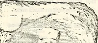 An illustration from Proben des hohen Teütschen Reichs Adels, oder, Sammlungen alter Denkmäler, Grabsteinen, Wappen, Inn- und Urschriften, u: d: nach ihrem wahren Urbilde aufgenommen unter offener Treüe bewähret und durch Anenbäume auch sonstige Nachrichten erkläret und erläuteret (1775)