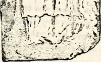 An illustration from Proben des hohen Teütschen Reichs Adels, oder, Sammlungen alter Denkmäler, Grabsteinen, Wappen, Inn- und Urschriften, u: d: nach ihrem wahren Urbilde aufgenommen unter offener Treüe bewähret und durch Anenbäume auch sonstige Nachrichten erkläret und erläuteret (1775)