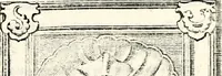 An illustration from Proben des hohen Teütschen Reichs Adels, oder, Sammlungen alter Denkmäler, Grabsteinen, Wappen, Inn- und Urschriften, u: d: nach ihrem wahren Urbilde aufgenommen unter offener Treüe bewähret und durch Anenbäume auch sonstige Nachrichten erkläret und erläuteret (1775)