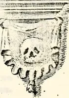 Picture 75 of 149 from Proben des hohen Teütschen Reichs Adels, oder, Sammlungen alter Denkmäler, Grabsteinen, Wappen, Inn- und Urschriften, u: d: nach ihrem wahren Urbilde aufgenommen unter offener Treüe bewähret und durch Anenbäume auch sonstige Nachrichten erkläret und erläuteret (1775), leaf 402
