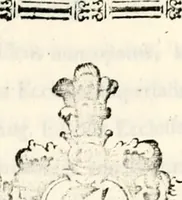 An illustration from Proben des hohen Teütschen Reichs Adels, oder, Sammlungen alter Denkmäler, Grabsteinen, Wappen, Inn- und Urschriften, u: d: nach ihrem wahren Urbilde aufgenommen unter offener Treüe bewähret und durch Anenbäume auch sonstige Nachrichten erkläret und erläuteret (1775)
