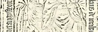 An illustration from Proben des hohen Teütschen Reichs Adels, oder, Sammlungen alter Denkmäler, Grabsteinen, Wappen, Inn- und Urschriften, u: d: nach ihrem wahren Urbilde aufgenommen unter offener Treüe bewähret und durch Anenbäume auch sonstige Nachrichten erkläret und erläuteret (1775)