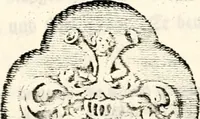 An illustration from Proben des hohen Teütschen Reichs Adels, oder, Sammlungen alter Denkmäler, Grabsteinen, Wappen, Inn- und Urschriften, u: d: nach ihrem wahren Urbilde aufgenommen unter offener Treüe bewähret und durch Anenbäume auch sonstige Nachrichten erkläret und erläuteret (1775)