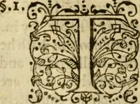 An illustration from A probe thologicall, or, The first part of the Christian pastors proofe of his learned parishioners faith : wherein is handled the doctrine of the law for the knowledge of it .. (1612)