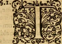 An illustration from A probe thologicall, or, The first part of the Christian pastors proofe of his learned parishioners faith : wherein is handled the doctrine of the law for the knowledge of it .. (1612)