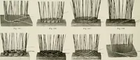 Picture 161 of 216 from Problems in woodwork in combination with other materials for elementary manual training (1917), leaf 179