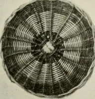 An illustration from Problems in woodwork in combination with other materials for elementary manual training (1917)