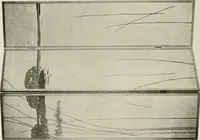Picture 212 of 216 from Problems in woodwork in combination with other materials for elementary manual training (1917), leaf 225
